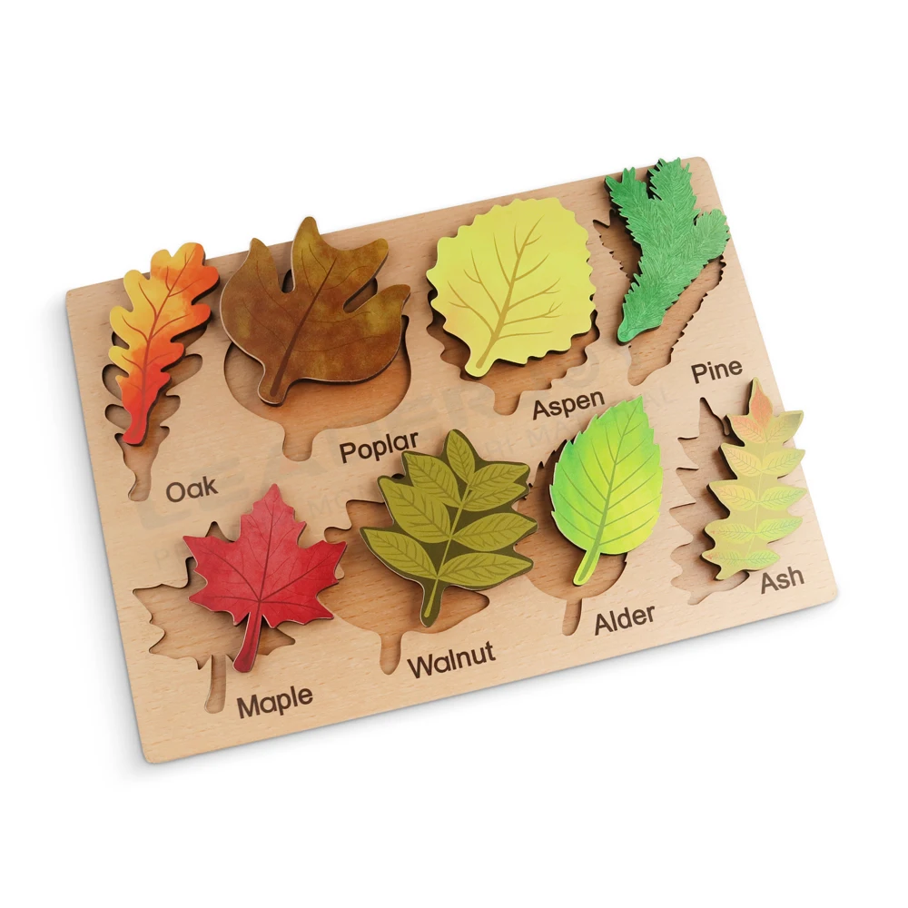 LeaderJoy Kid Toys Manufacturer Wholesale Leaves Puzzle Montessori Wooden Toys Early Educational
LeaderJoy Kid Toys Manufacturer Wholesale Leaves Puzzle Montessori Wooden Toys Early Educational