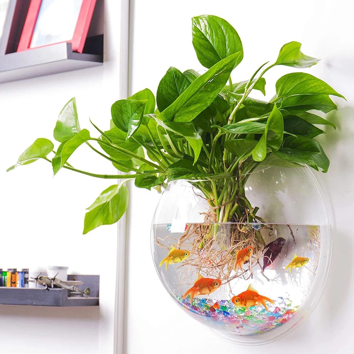 Hot Sale Wall Hanging Mounted Aquarium Clear Acrylic Mini Fish Tank Half Round Acrylic Wall Aquarium, Transparent
Hot Sale Wall Hanging Mounted Aquarium Clear Acrylic Mini Fish Tank Half Round Acrylic Wall Aquarium, Transparent