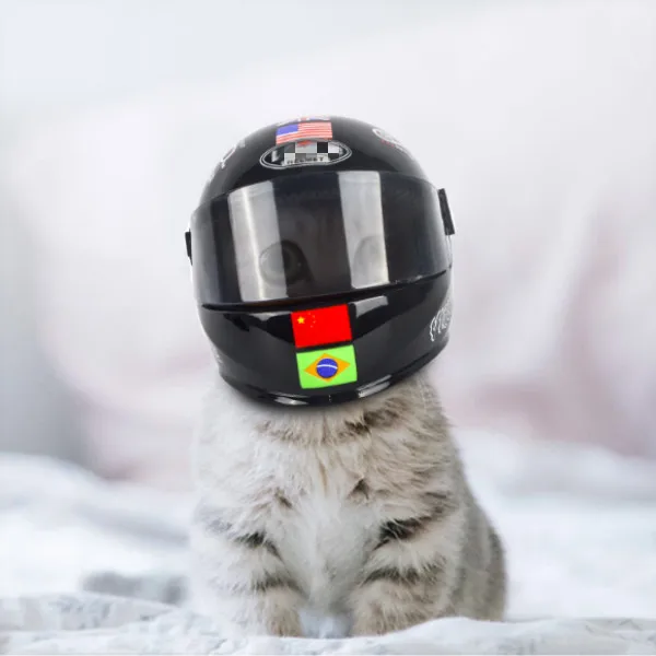 Fashion Cool Puppy Cat Hat Helmets Outdoor Caps Motorcycles Photo Props Pet Protecting Accessories for Small Pets, As the picture
Fashion Cool Puppy Cat Hat Helmets Outdoor Caps Motorcycles Photo Props Pet Protecting Accessories for Small Pets, As the picture