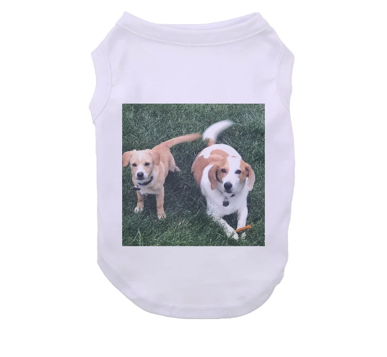 Blank dog clothing designer polyester pet clothes white dog shirts sublimation dog shirts
Blank dog clothing designer polyester pet clothes white dog shirts sublimation dog shirts