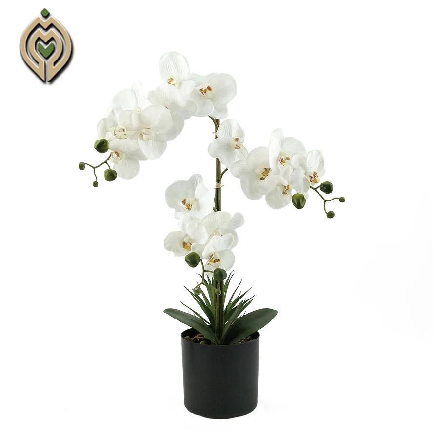 ChinaFactory wholesale 54 colors colorful 9 heads artificial real orchid on sale, Customized
ChinaFactory wholesale 54 colors colorful 9 heads artificial real orchid on sale, Customized