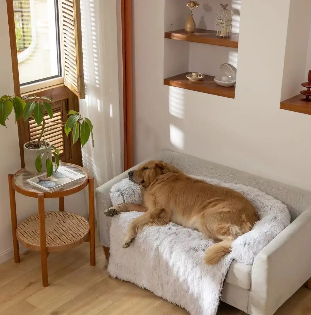 High Quality Luxury Indoor Cat Supplies Pet Furniture Pet Bed Sofa Dog Beds For Large Dogs, Photo shows
High Quality Luxury Indoor Cat Supplies Pet Furniture Pet Bed Sofa Dog Beds For Large Dogs, Photo shows