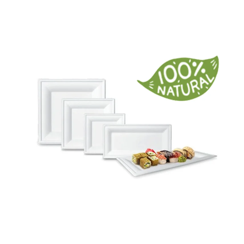 Biodegradable Square Sugarcane Bagasse Disposable Paper Plates Biodegradable Disposable Plate/Tray
Biodegradable Square Sugarcane Bagasse Disposable Paper Plates Biodegradable Disposable Plate/Tray