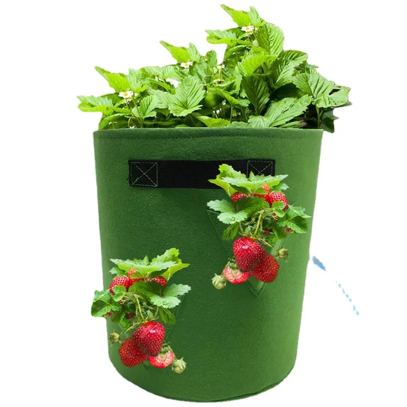 BB021 Home Horticultural Planting Non-woven Felt Hanging Cultivating Plant Growth Bag Garden Flowers Plants Bag, Multi colour
BB021 Home Horticultural Planting Non-woven Felt Hanging Cultivating Plant Growth Bag Garden Flowers Plants Bag, Multi colour