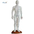 50 cm PVC Material Human Acupuncture Medical Teaching Research Model