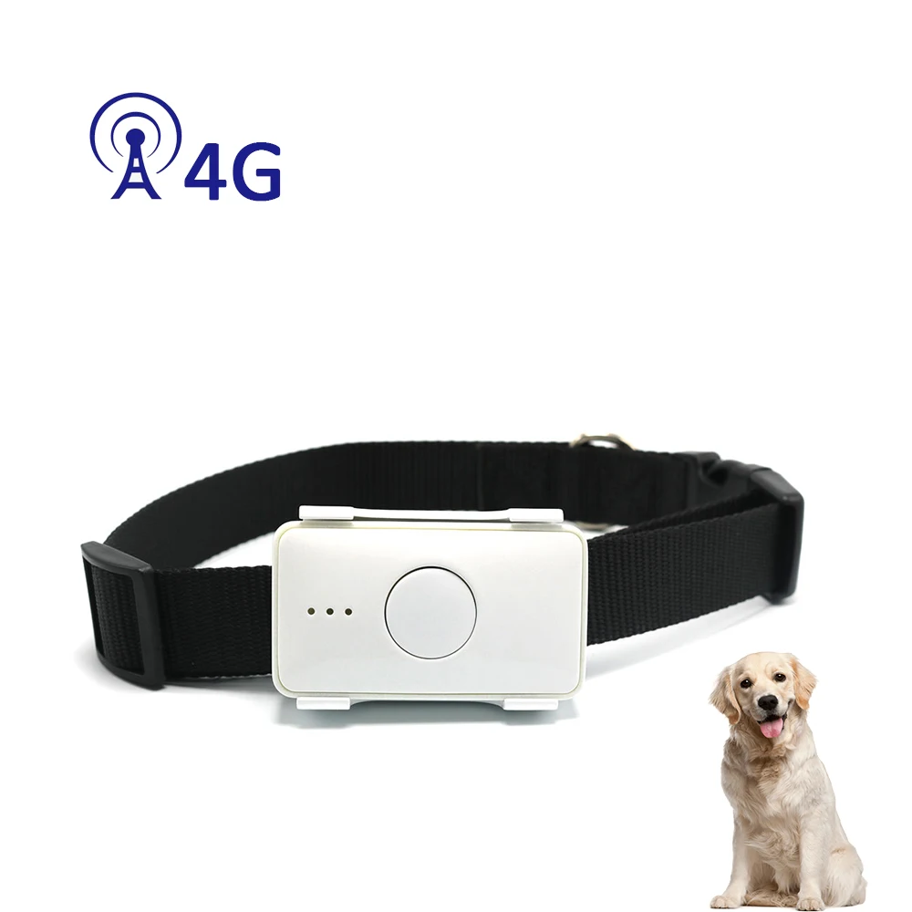 2020 Best Selling Gps Tracking Chip 4G Real Time Puppy Cat Gps Tracker Collars Pet Locator With Free App LK105B, Black
2020 Best Selling Gps Tracking Chip 4G Real Time Puppy Cat Gps Tracker Collars Pet Locator With Free App LK105B, Black