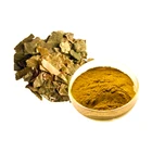 hot sale green products epimedium koreanum nakai extract powder energy