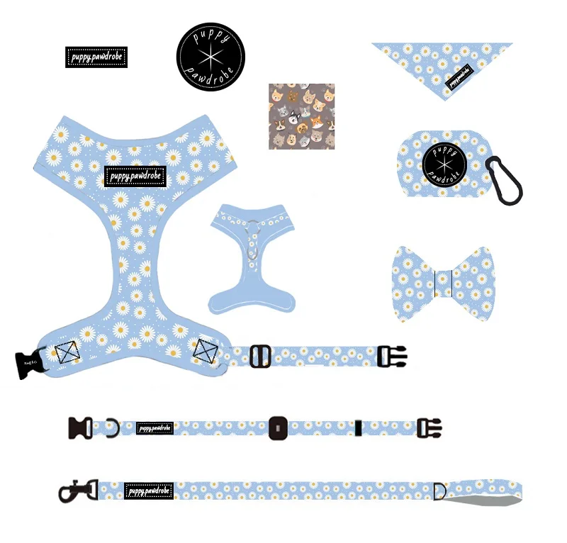 Free Design Hot Selling Dog Leash Set Six-piece Adjustable Dog harness Set With Bow Tie poop Bag Holder sets, Customized color
Free Design Hot Selling Dog Leash Set Six-piece Adjustable Dog harness Set With Bow Tie poop Bag Holder sets, Customized color