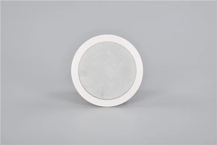ARVOX A-S06TH Popular 10 Inch Inwall & Steel Ceiling Speaker - ANKUX.COM