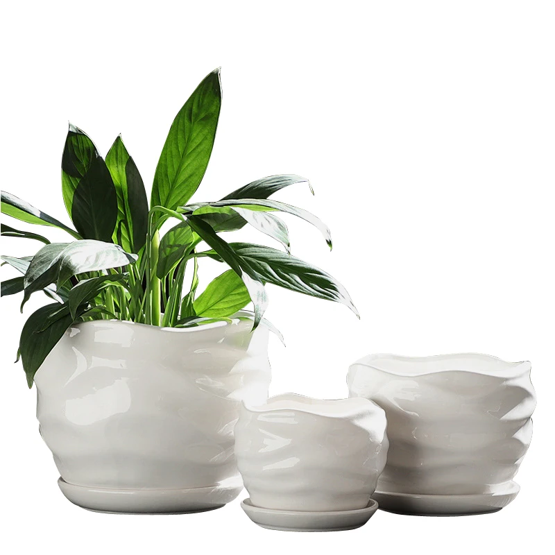 home & garden white embossed ceramic flower pots for plants
home & garden white embossed ceramic flower pots for plants