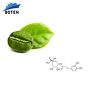 Green Coffee Bean Best Quality Natural Green Coffee Bean P.E.