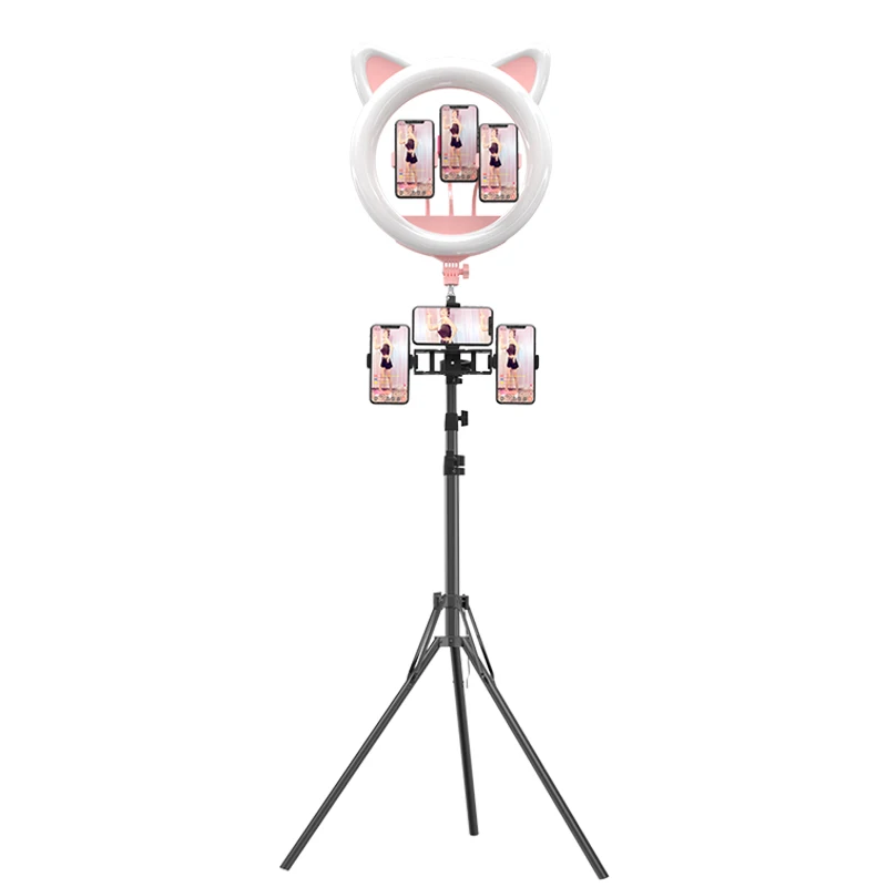 Wholesale Photography Accessories RK45 led photography ring light 20inch cat ear shape 20 inch ring light with tripod, Black pink
Wholesale Photography Accessories RK45 led photography ring light 20inch cat ear shape 20 inch ring light with tripod, Black pink