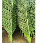 Graphic Customization Foliage Stems UV Proof Quality Artificial Palm Tree Leaves/Coconut Leaf Indoor Or Outdoor Use