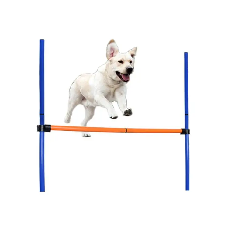 Dog Agility Perfamence Training Equipment Pet Training Jump Hurdle Dog Agility Device
Dog Agility Perfamence Training Equipment Pet Training Jump Hurdle Dog Agility Device