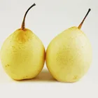 Pears Pear Fresh Pears Pears Fresh Chinese Fresh Pears Bulk Purchase