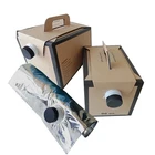 customized 5L/10L Beer Pouch Coconut Water Bag In Box