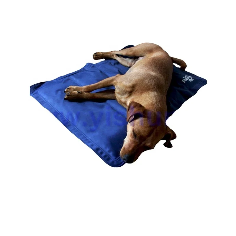 Summer Self Cooling Gel Pet Pad Reusable dog pet bed mat 
Summer Self Cooling Gel Pet Pad Reusable dog pet bed mat
