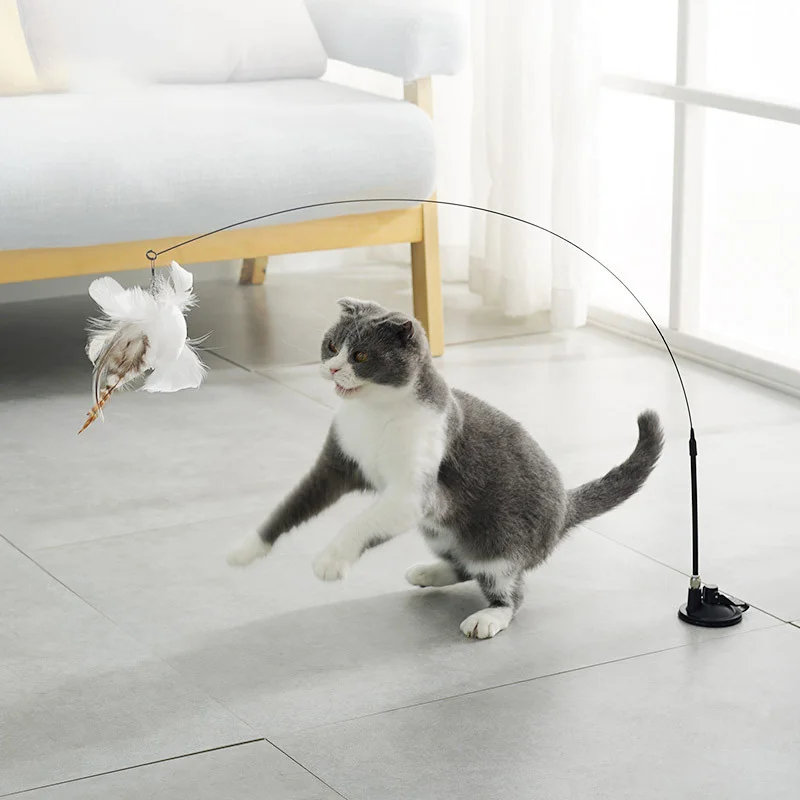 Funny Cat Stick Bite-resistant Replaceable Feather Strong Suction Cup Cat Treaser Feather Toy Steel Wire Long Rod Cat
Funny Cat Stick Bite-resistant Replaceable Feather Strong Suction Cup Cat Treaser Feather Toy Steel Wire Long Rod Cat