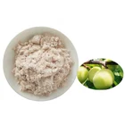 Spray Dried Concentrate Fruit Powder Green Plum Extract Instant Green Plum Juice Powder