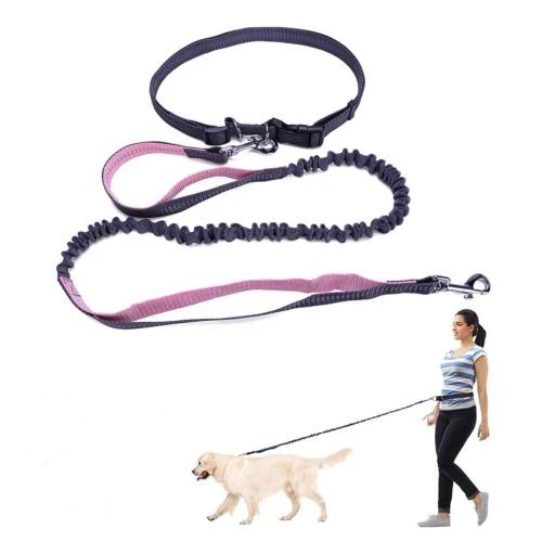 

Amazon Hot Sell Running Walkingtraining Hands-free Dog Retractable Waist Traction Rope