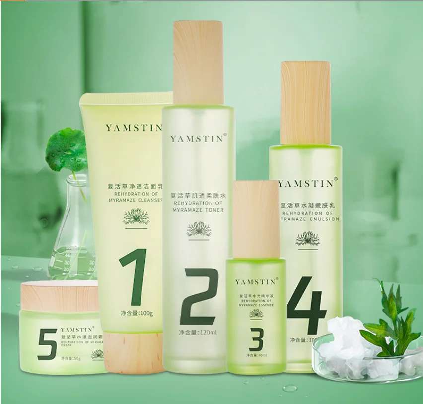 2021 Best Selling korean skin care set Herbal gentle care skin Resurrection Grass Moisturizing and whitening Skin Care Set, Green
2021 Best Selling korean skin care set Herbal gentle care skin Resurrection Grass Moisturizing and whitening Skin Care Set, Green