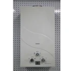 6L/10L/12L flue type wall mounted Installation tankless storage gas geyser Instant gas hot water heater