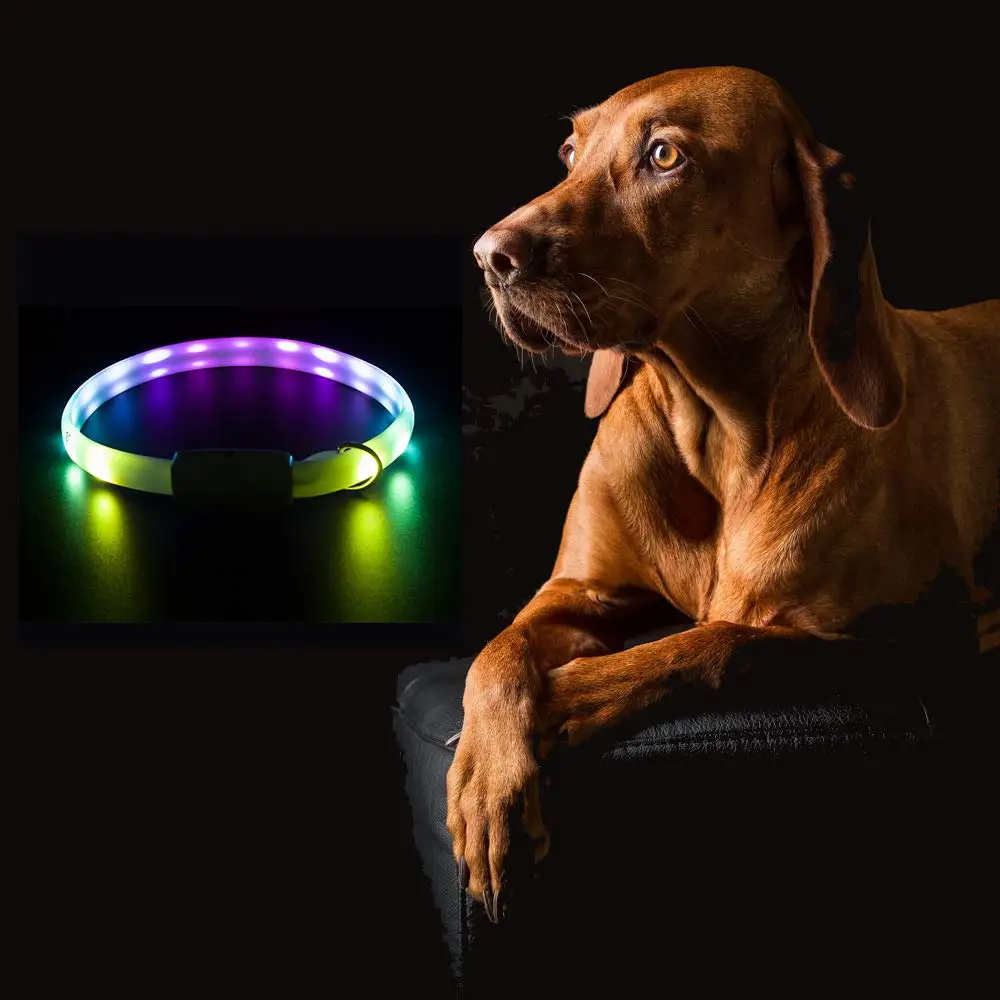 USB Rechargeable Night Walking Glow LED Light Up Blinking Customized pet collars Custom Dog Collars
USB Rechargeable Night Walking Glow LED Light Up Blinking Customized pet collars Custom Dog Collars