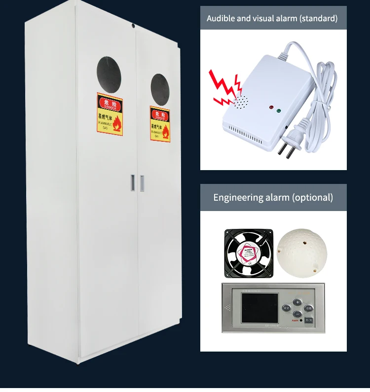 Hot Sale All Steel Gas Cylinder Cabinet for Laboratory Lab Furniture/