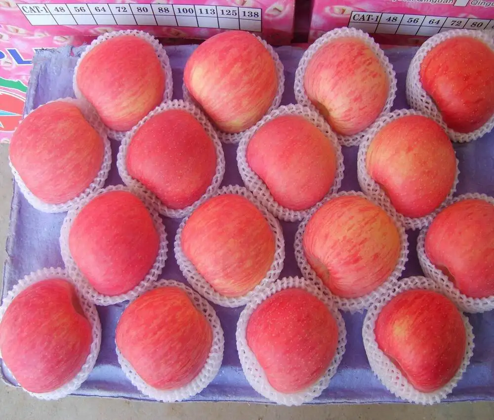 Fuji Apple fruit.jpg