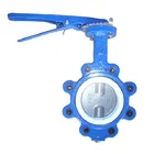 Dn200 Oil And Gas No-Pin Casting Iron Manual Butterfly Valve Lug Seal PTFE CAD Drawings