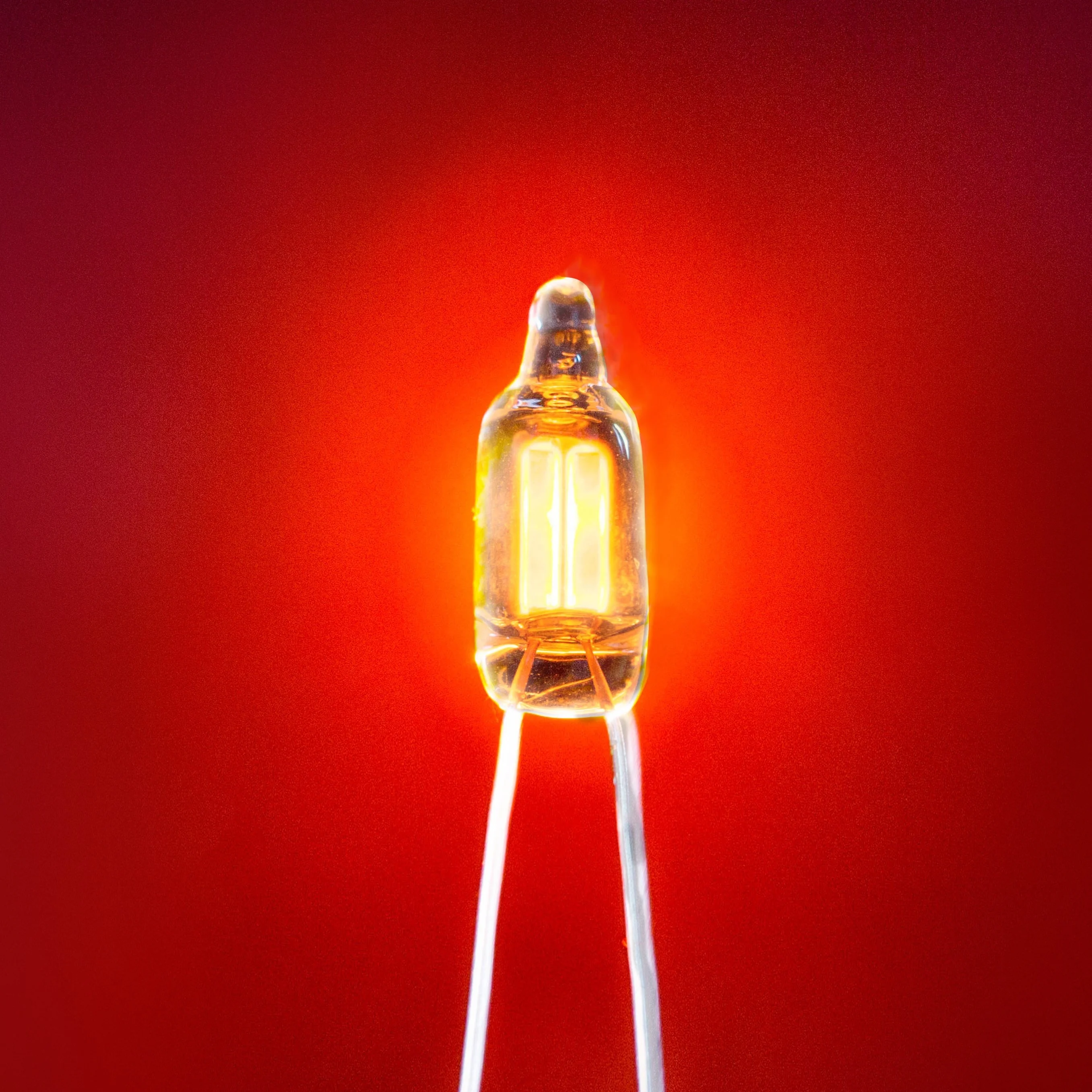 neon bulb/neon lamp/neon tube  6*16/6x16