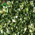 dehydrated chive flakes / dried green onion flakes