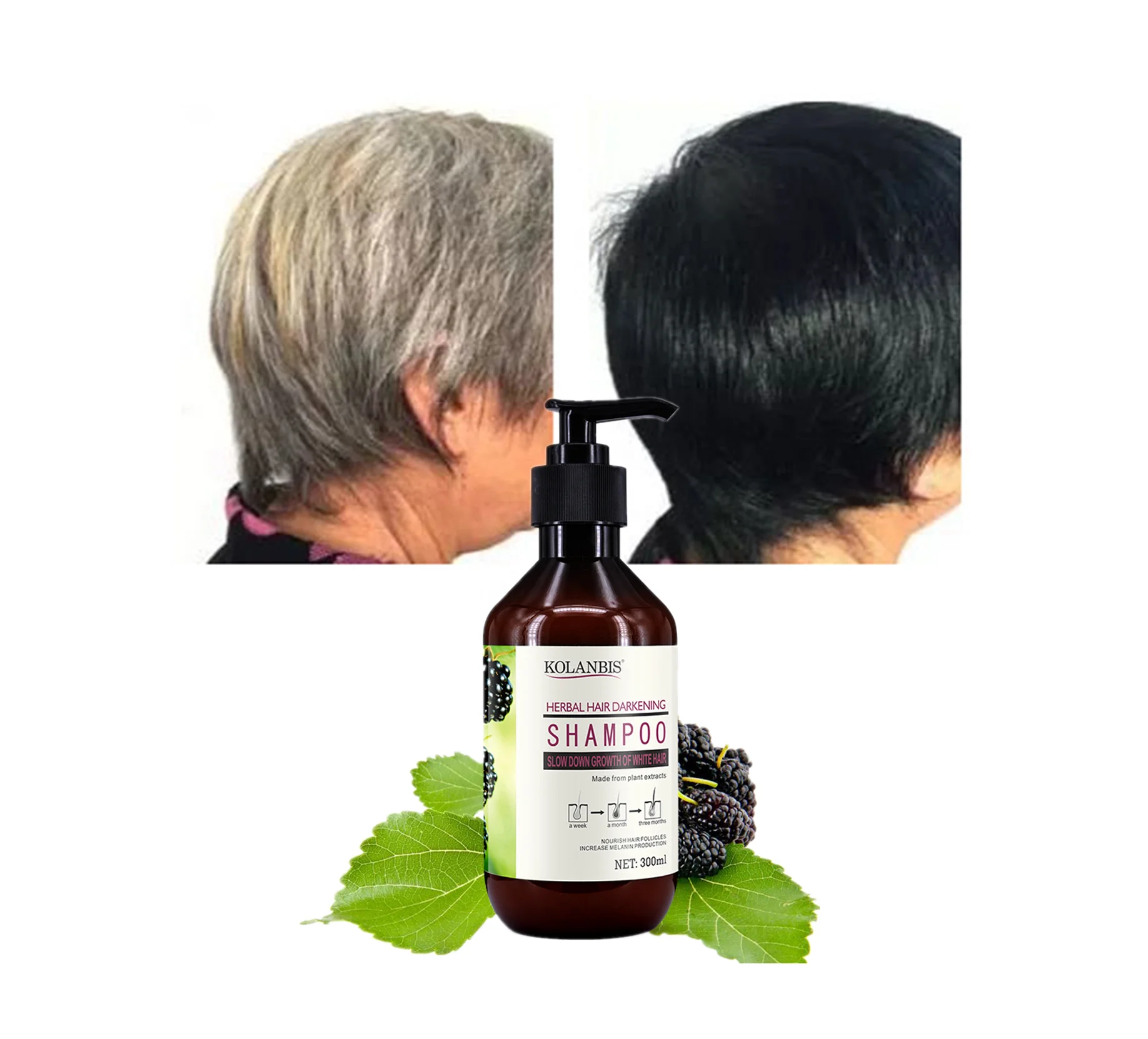 

KOLANBIS Wholesale He Shou Wu Of Polygonum Multiflorum Extraxt Shampoo Treatment To Darken The Gray Hair, Brown