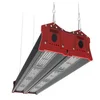 240W Module plant light LED Grow Light Bar Full Spectrum