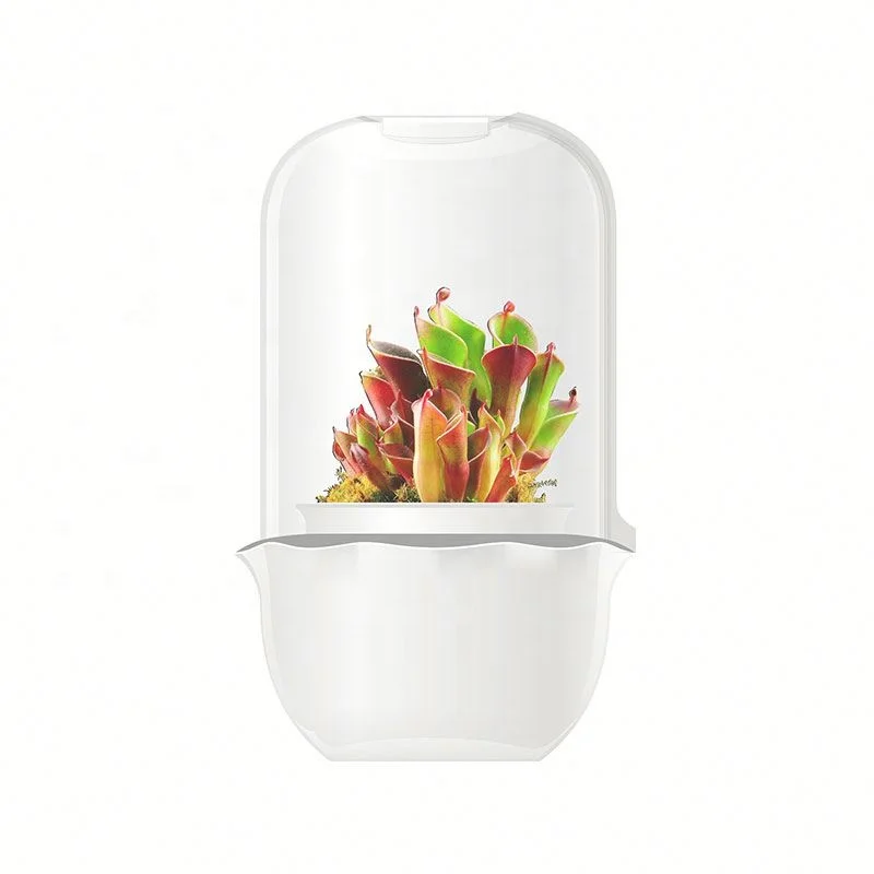 cute succulent pots Greenhouse pot garden greenhouses structure with hydroponic system wholesale live plants nature, White
cute succulent pots Greenhouse pot garden greenhouses structure with hydroponic system wholesale live plants nature, White