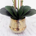 Phalaenopsis leaf artificial plant leaf decorative flowers auxiliary material flower decoration Orchid leaves