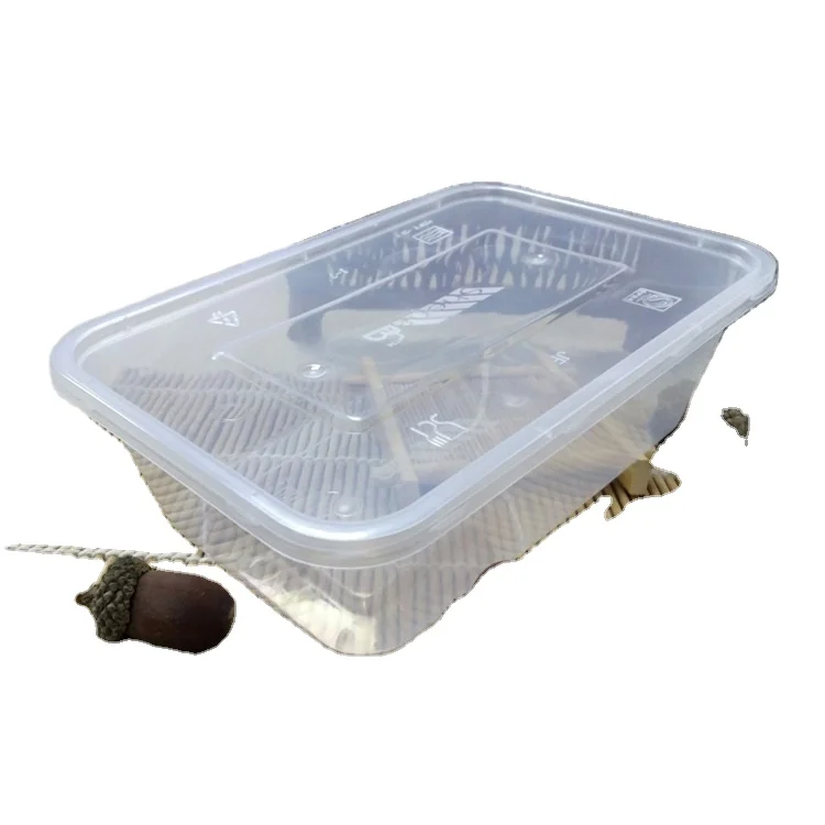 WL-H002 Disposable Lunch Boxes Upscale PP Takeout Plastic Transparent Square Environmentally Friendly Packaging Food Container
WL-H002 Disposable Lunch Boxes Upscale PP Takeout Plastic Transparent Square Environmentally Friendly Packaging Food Container