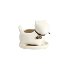 garden outdoor indoor decorative animal cat shaped ceramic succulent planter plant succulent flower pot with holder