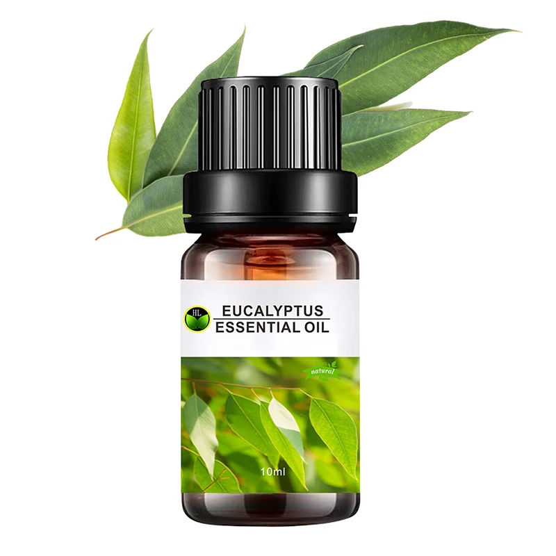 OEM 100% natural massage oil steam distillation extracted Eucalyptus essentialOil for skin care products bulk price 10 ml
OEM 100% natural massage oil steam distillation extracted Eucalyptus essentialOil for skin care products bulk price 10 ml