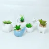 DEHUA Animal Ceramic Glazed Finishing Plant Pots Cute Little Dolphin Succulents Flower Pots