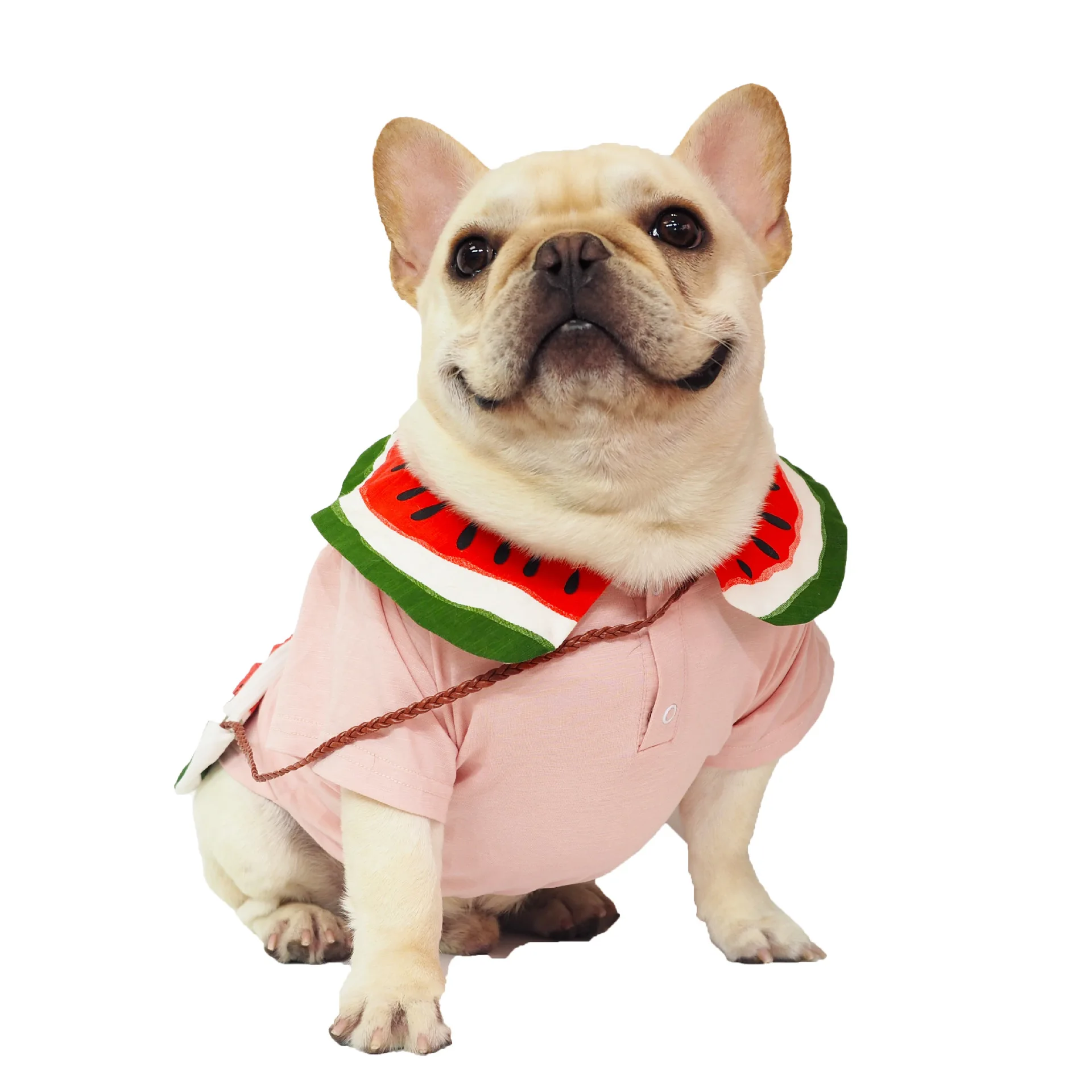 Custom Wholesale Winter Pet Apparel Clothes Cute Watermelon Backpack Dog Sweatshirt, 1 colors
Custom Wholesale Winter Pet Apparel Clothes Cute Watermelon Backpack Dog Sweatshirt, 1 colors