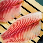 Frozen Tilapia Fillet Seafood 3oz To 5oz