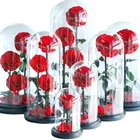 Roses Rose 2020 Promotional Items Roses Preserved Long Lasting In Glass Valentines Day Gifts Rose