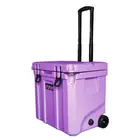 Wholesale High Quality Pe Thermal Blood Cooler For Fishing