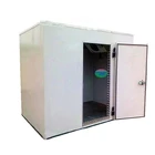 Low Temperature Cold Room For Fish And Other Seafood
