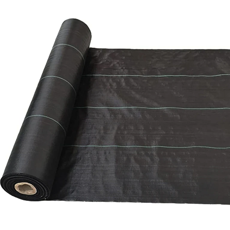 Heavy Duty Weed Control Fabric Weed Barrier UV Stabilized Black Fabric Ground Cover 1m x 15m
Heavy Duty Weed Control Fabric Weed Barrier UV Stabilized Black Fabric Ground Cover 1m x 15m