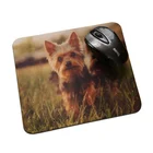Hot Selling Custom Printed Mouse Mat,Non-Slip Rubber Cloth Mouse Mat cut dog design