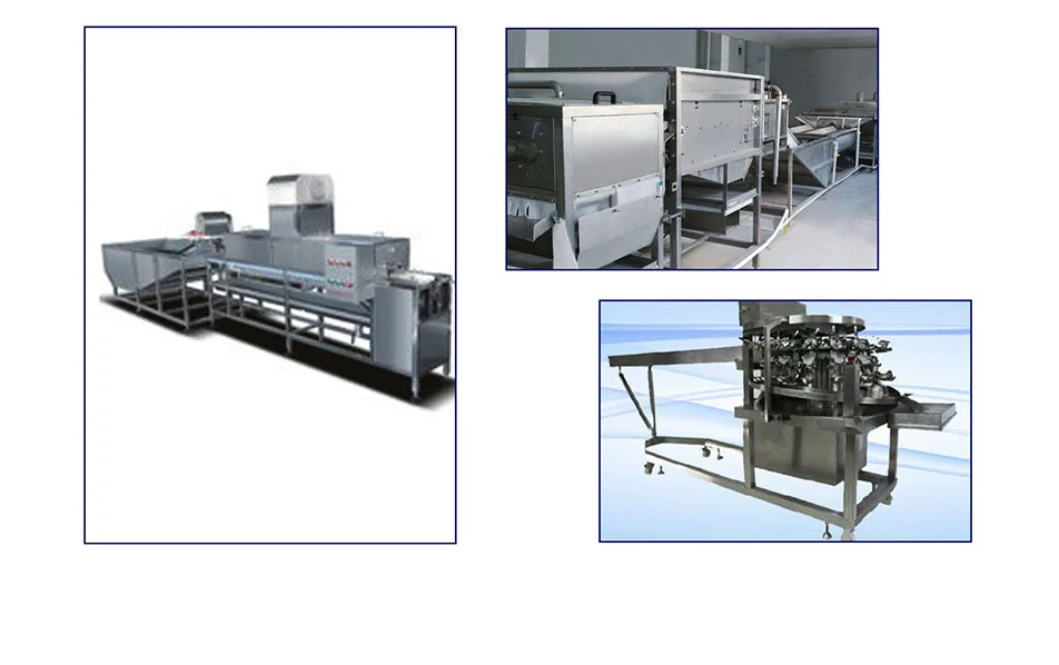 Automatic Egg Grader Size Weight Sorting Grading Packing Processing Machine Chicken Egg Cleaning and Weight Sorter Machine factory