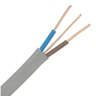Twin and earth Wire Flat TPS Cable PVC Insulated Coated Electric High Quality Copper