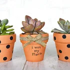 Brown Pot 3pcs Brown Clay Small Terracotta Plant Flower Pot